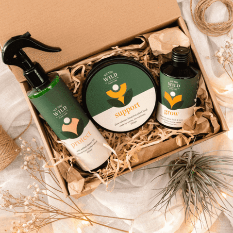WE THE WILD Essential Plant Care Kit